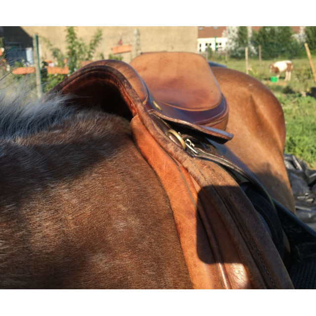 Selle