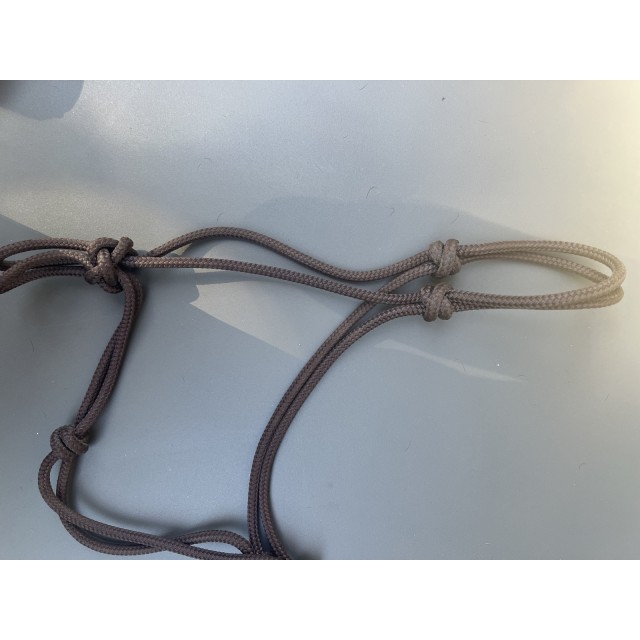 Licol en corde marron