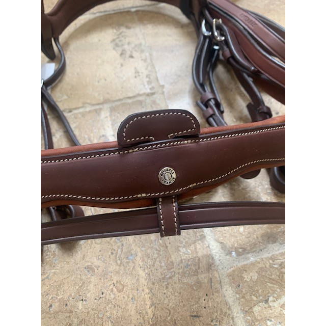 Bride Antarès taille poney muserolle renforcée + 1 paire de rênes