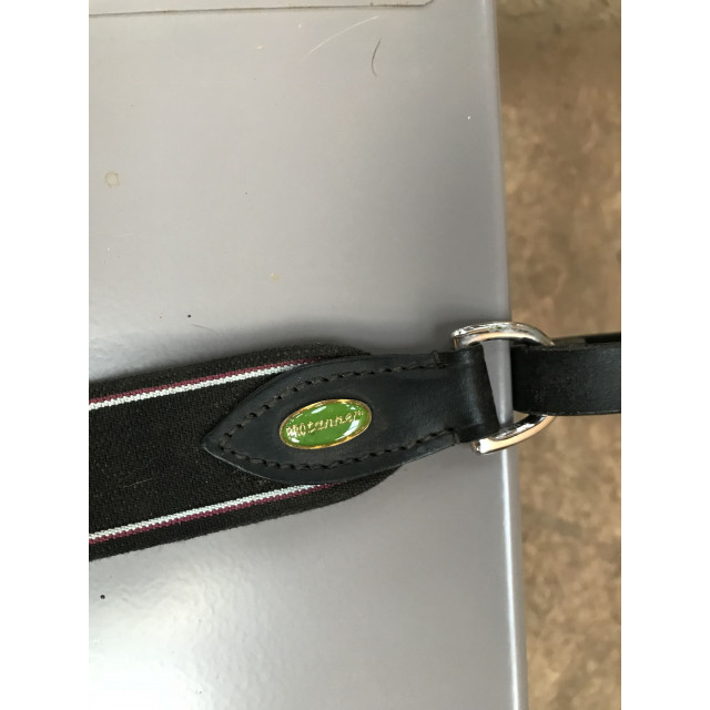 Collier de chasse à elastiques interchangeables PROTANNER