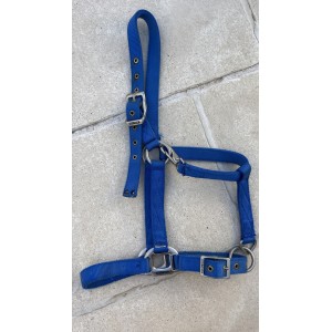 Licol bleu roi taille cheval