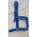Licol bleu roi taille cheval