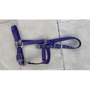 Licol violet taille pur-sang