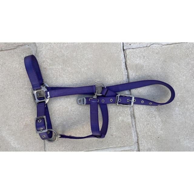 Licol violet taille pur-sang