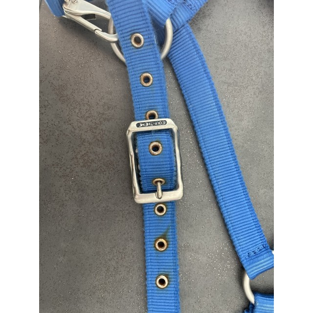 Licol bleu roi taille cheval