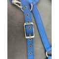 Licol bleu roi taille cheval