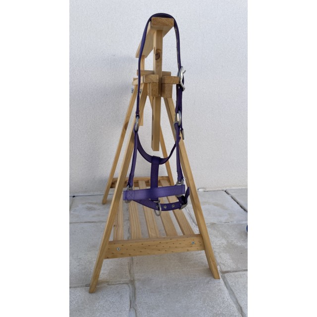 Licol violet taille pur-sang