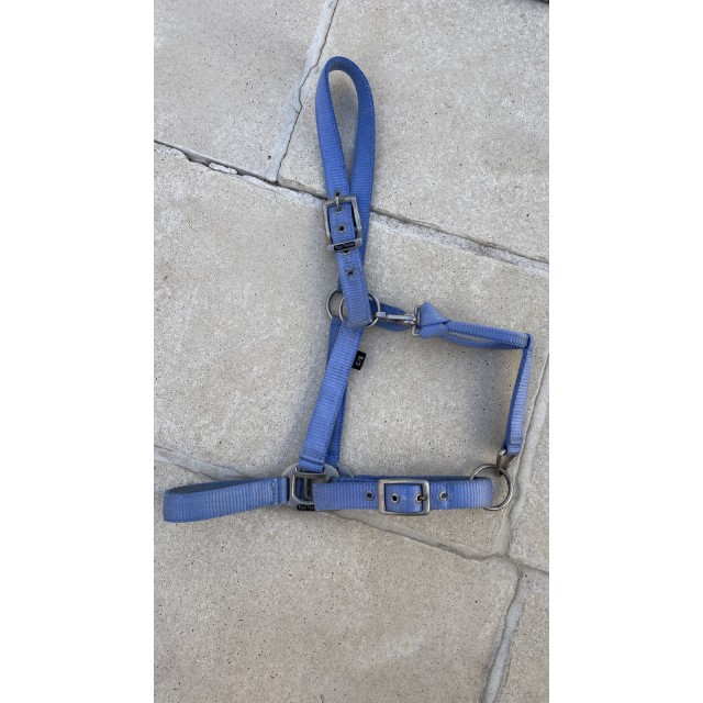 Licol bleu ciel taille cheval