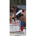 Veste Animo grise foncée