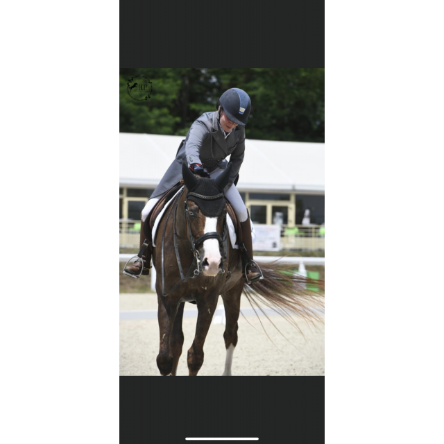 Frac de dressage