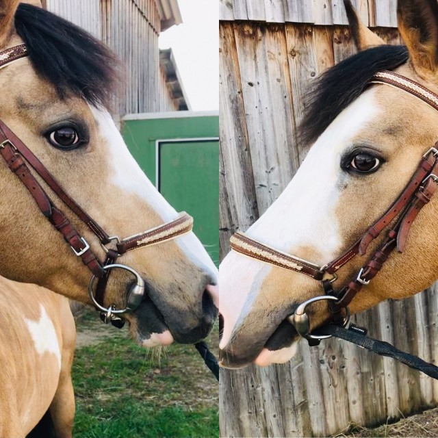 2 filets à vendre ensemble ou séparément