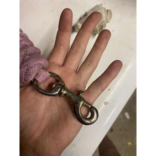 longe rose pour poney