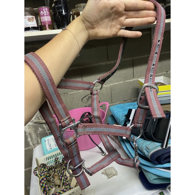 licol taille poney
