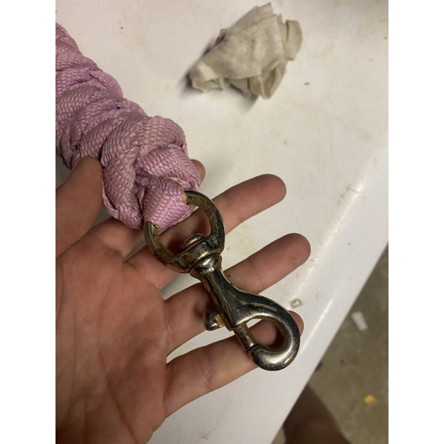 longe rose pour poney