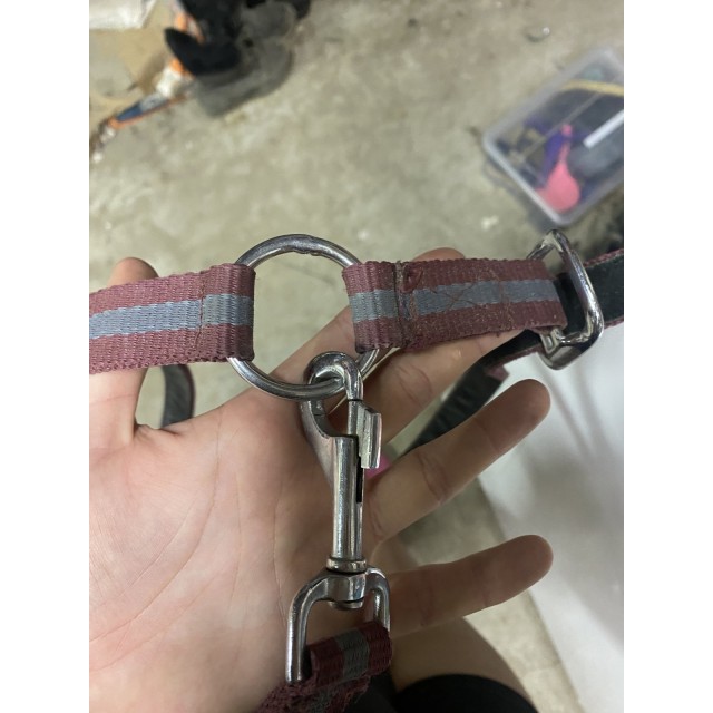 licol taille poney
