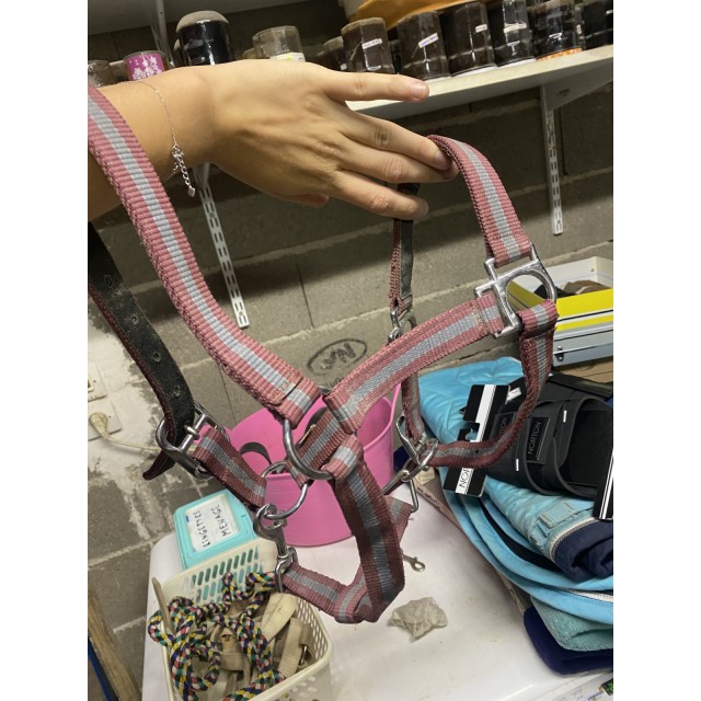 licol taille poney