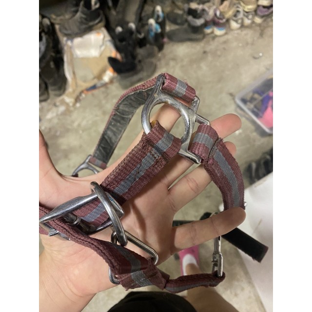licol taille poney