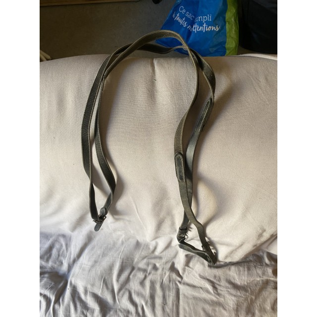 Paire de rênes