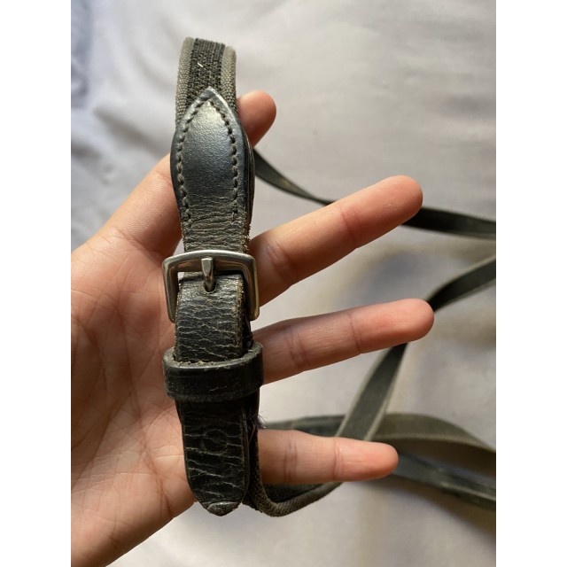Paire de rênes