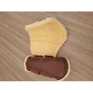 Protection anterieur