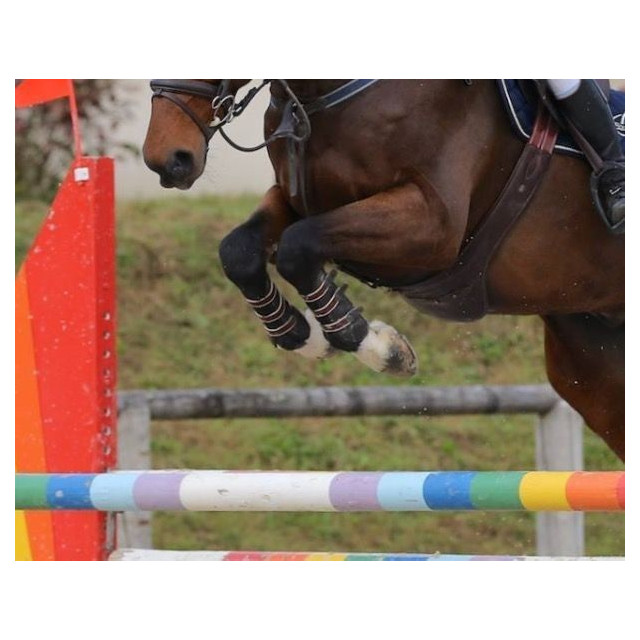 Guêtres à crochets HG