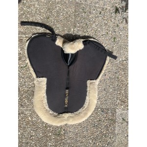 Amortisseur Kentucky absorb