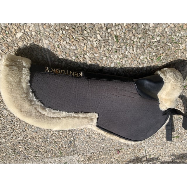 Amortisseur Kentucky absorb