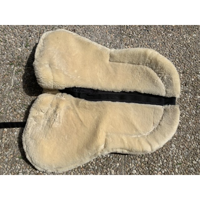 Amortisseur Kentucky absorb