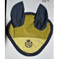 Bonnet vert anis