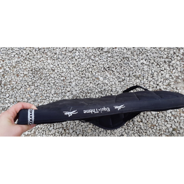 Tapis dressage