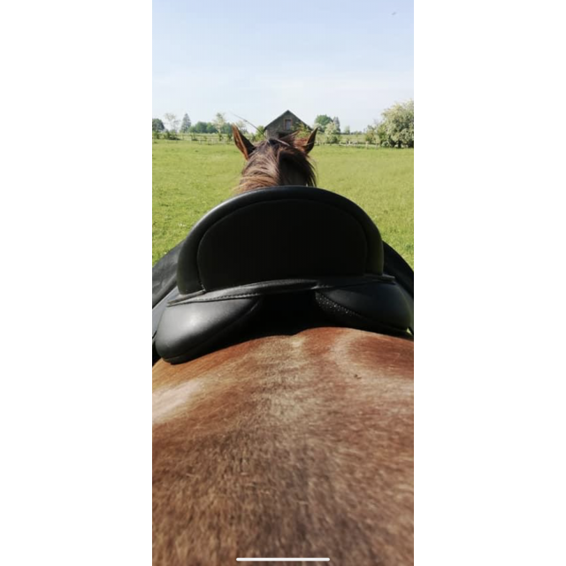 Selle wintec 500 cair dressage