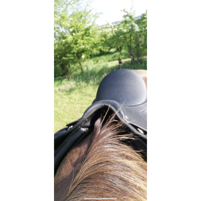 Selle wintec 500 cair dressage