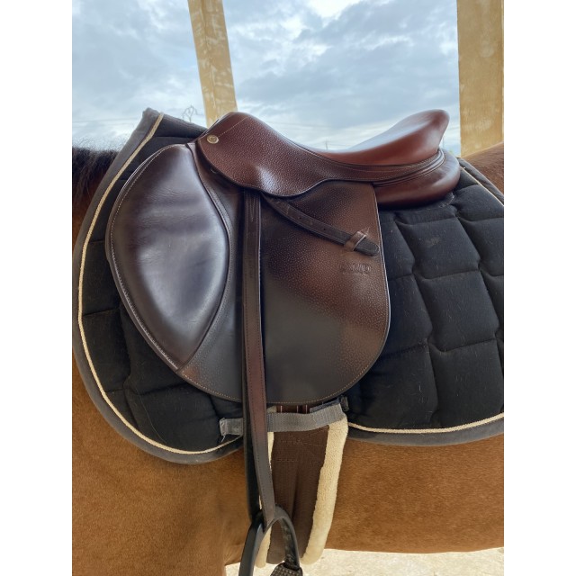 Selle CWD