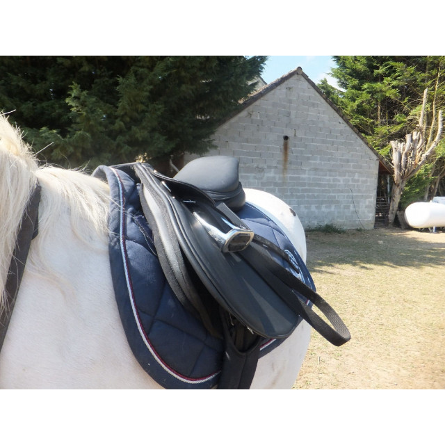 Selle Norton arçon  interchangeable