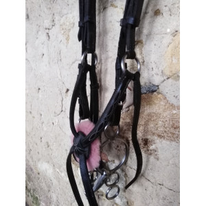 Bridon muserolle croisée