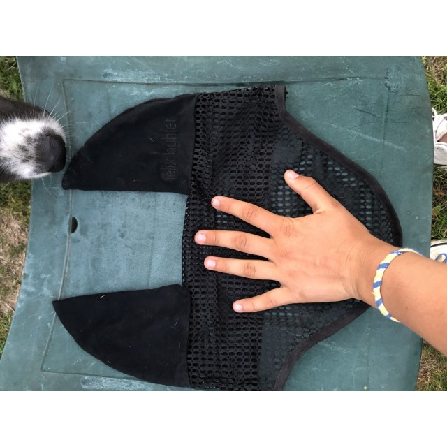 bonnet