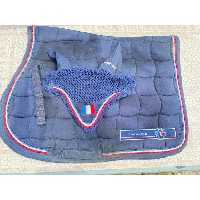 ensemble lamicel france