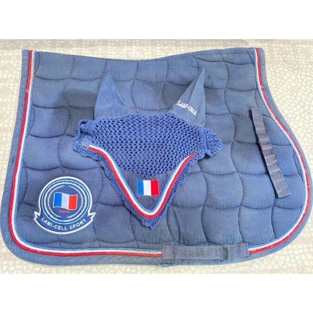 ensemble lamicel france