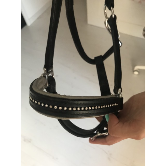 Licol taille poney