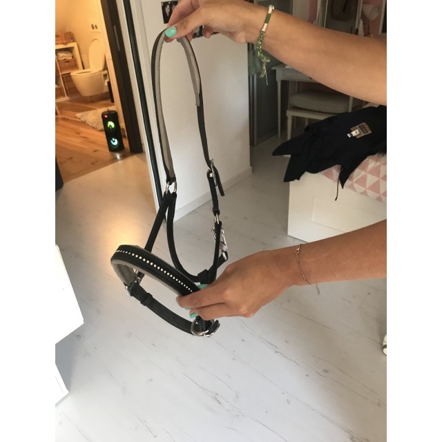 Licol taille poney