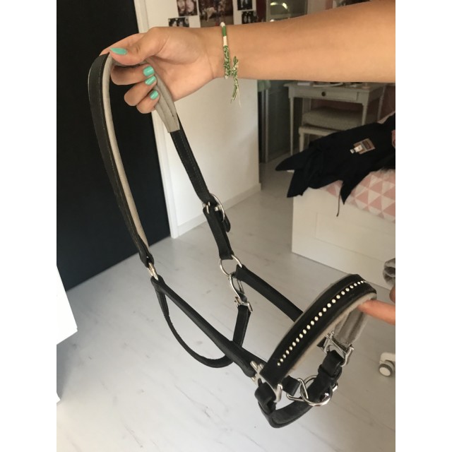 Licol taille poney