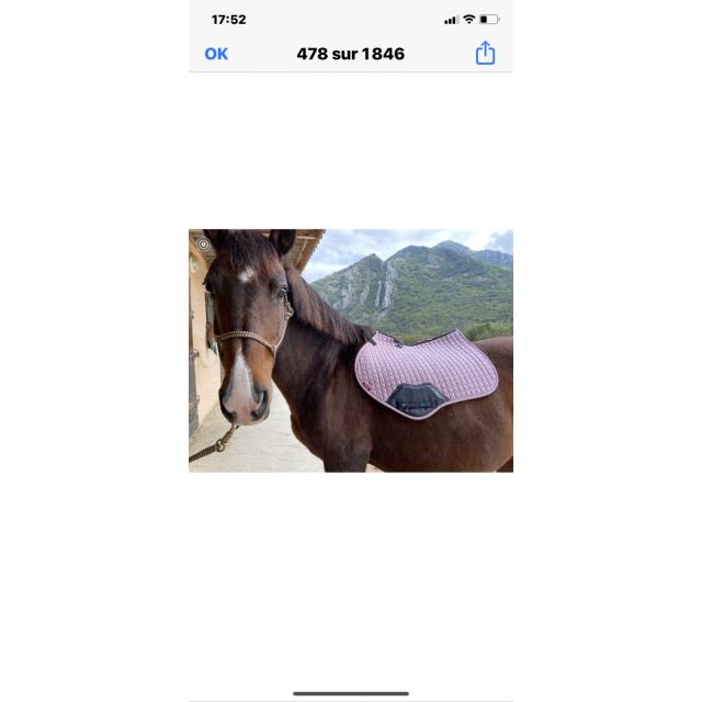 Tapis de selle LeMieux