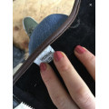 Chaps Lami Cell