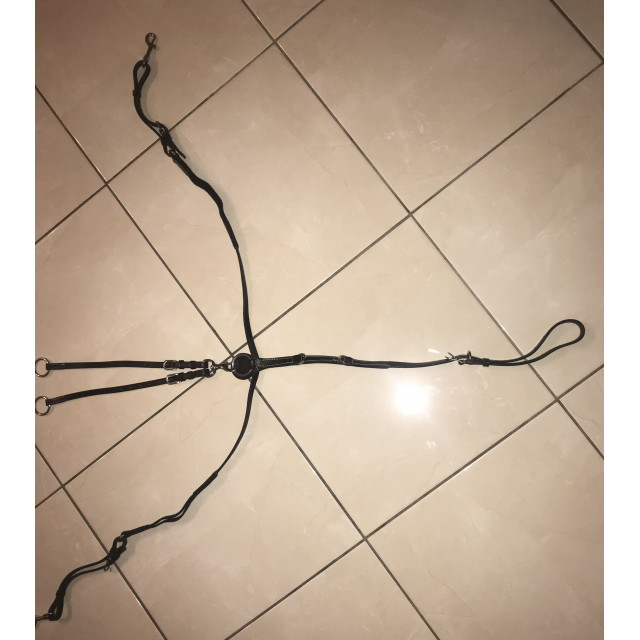 Collier de chasse +martingale