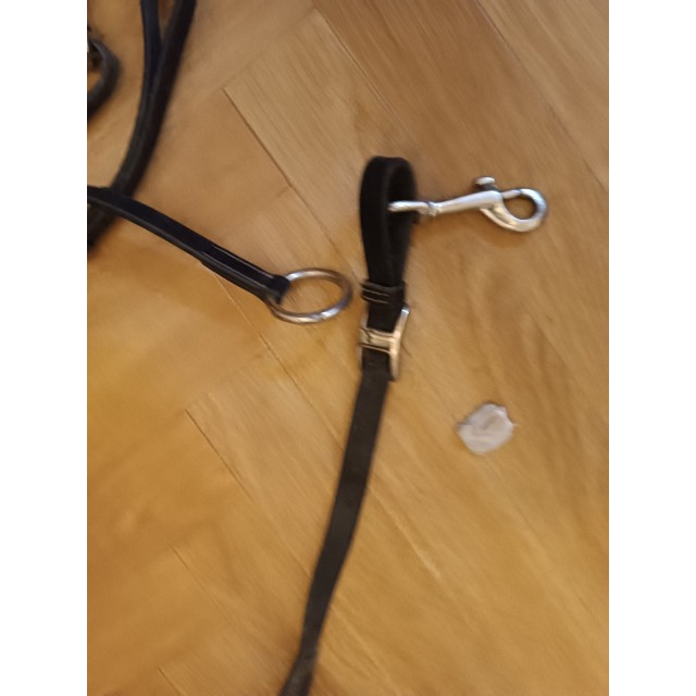 Collier de chasse After r riding