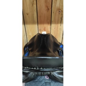 Passier dressage