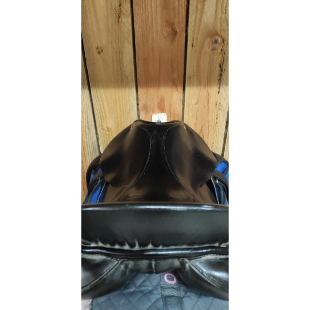 Passier dressage