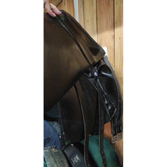 Passier dressage