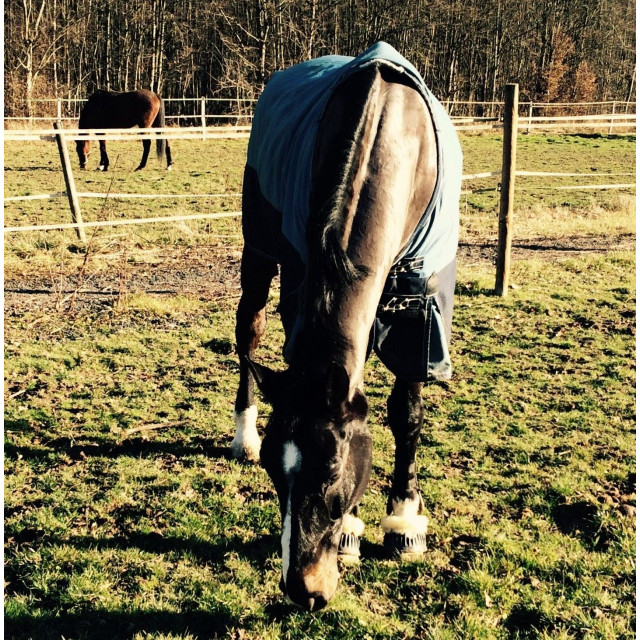 Couverture weatherbeta pré box