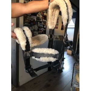 Licol moumoute fougenza